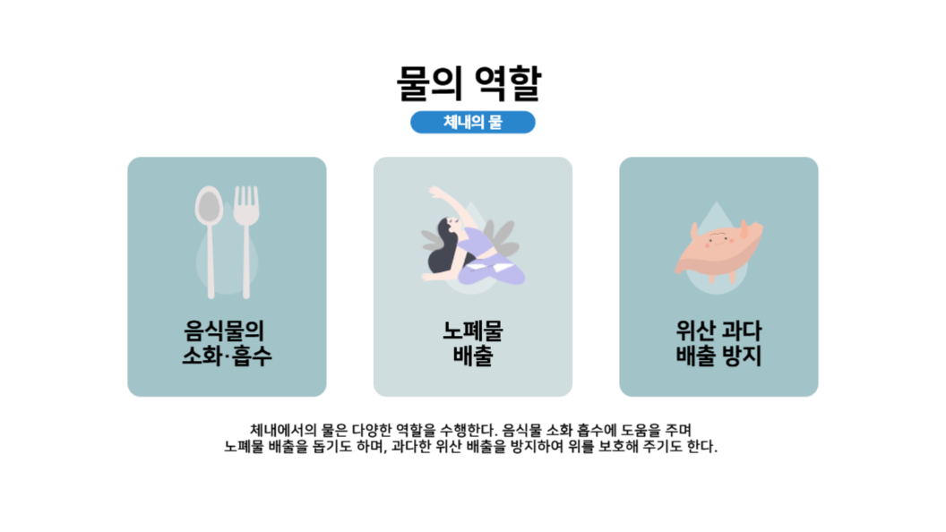 발표피피티_물과 건강의 상관관계
