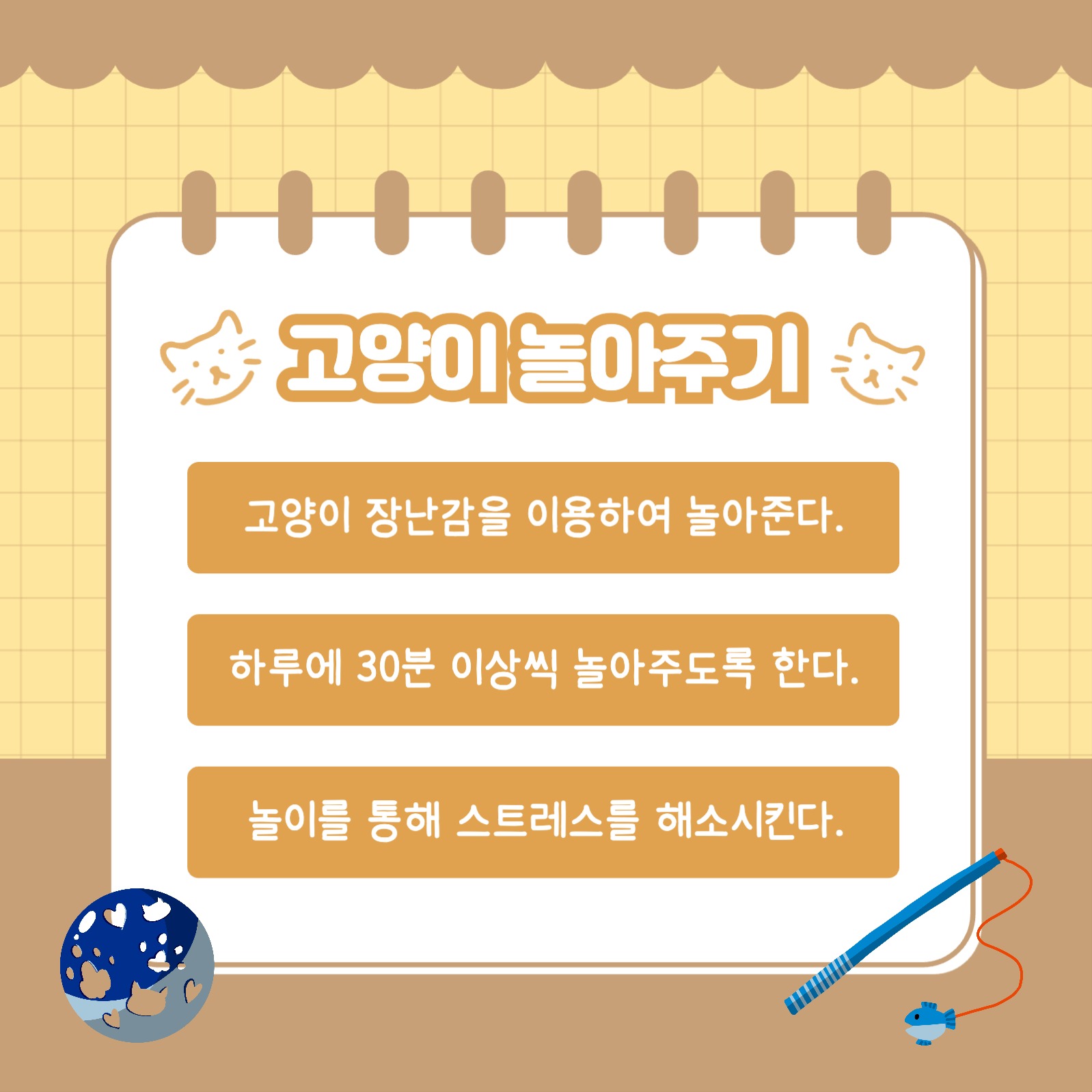 고양이 키우기 꿀팁 카드뉴스