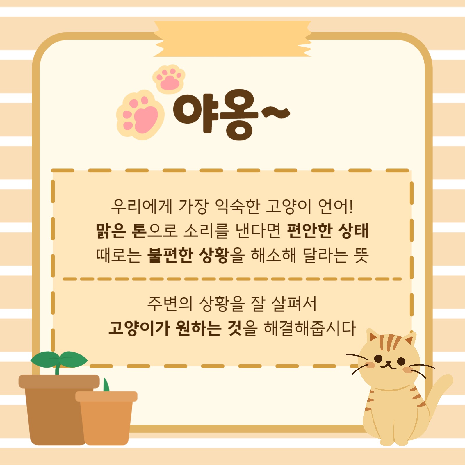 고양이 언어 완벽정리 카드뉴스