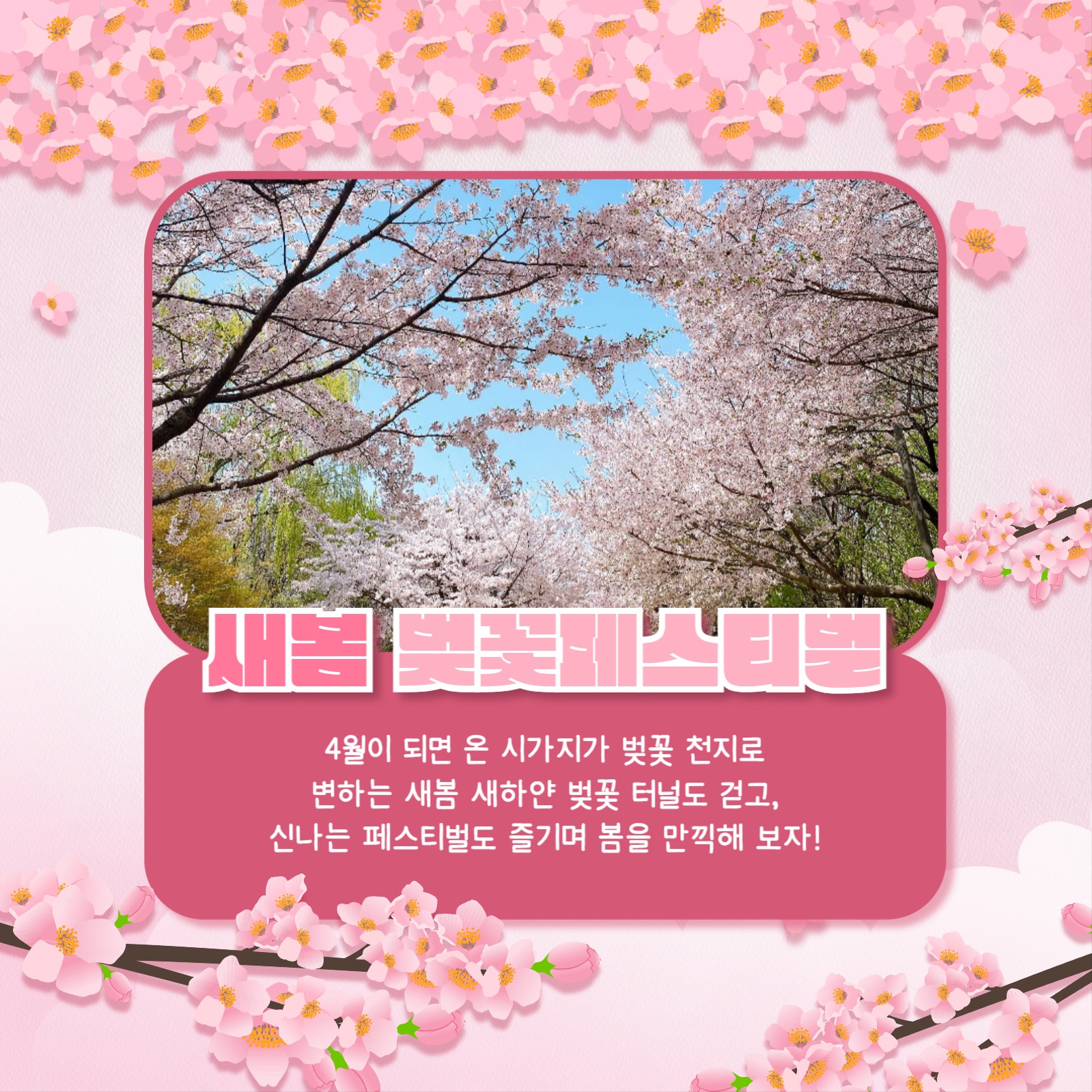 벚꽃놀이 장소 추천 카드뉴스