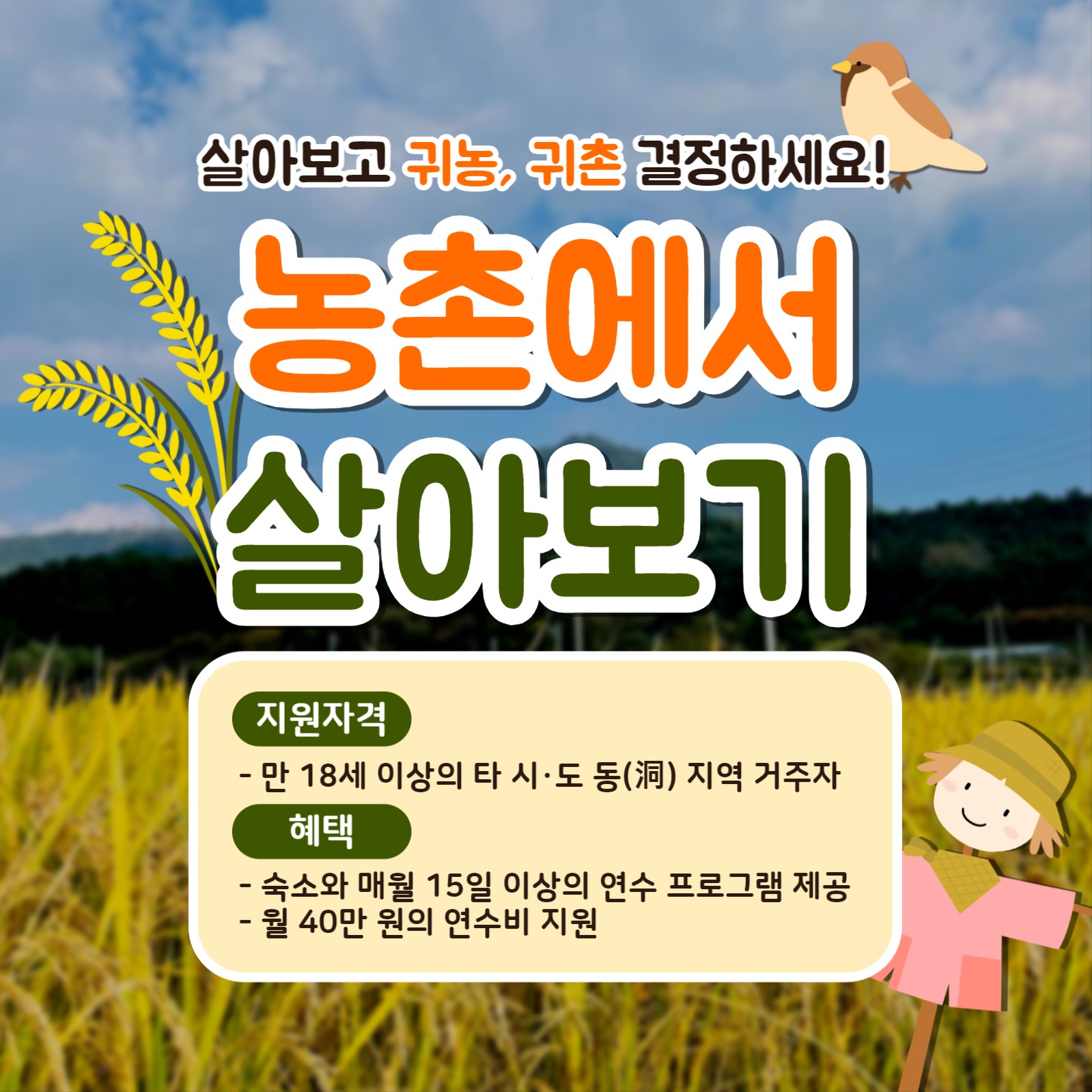 농촌에서 살아보기 카드뉴스