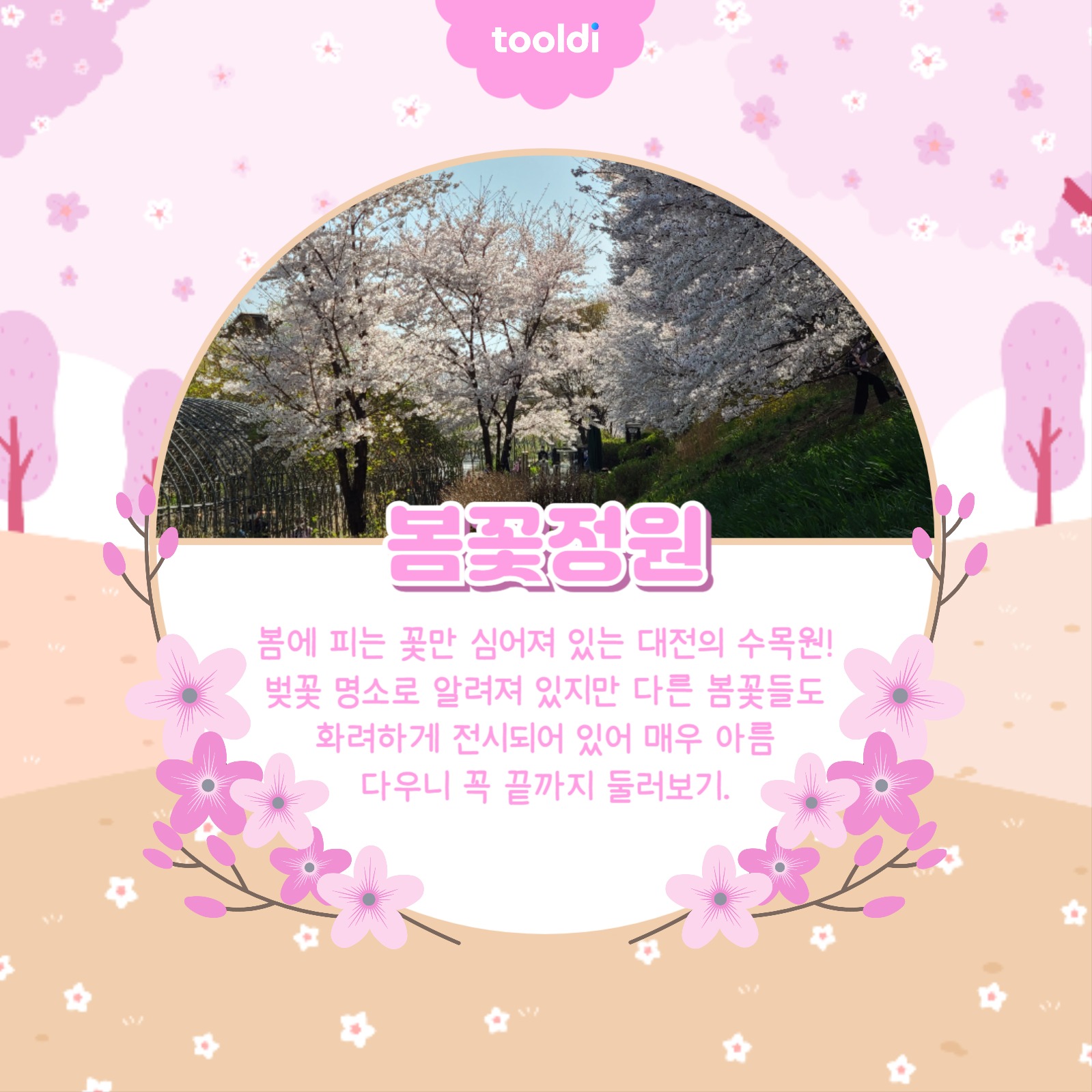 벚꽃 명소 알아보기 카드뉴스