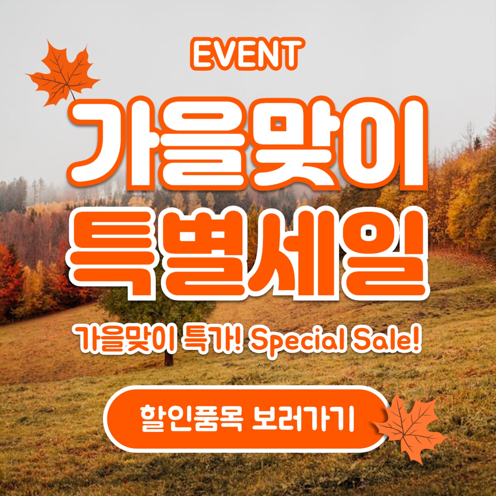 가을맞이 특별할인 (카드뉴스)