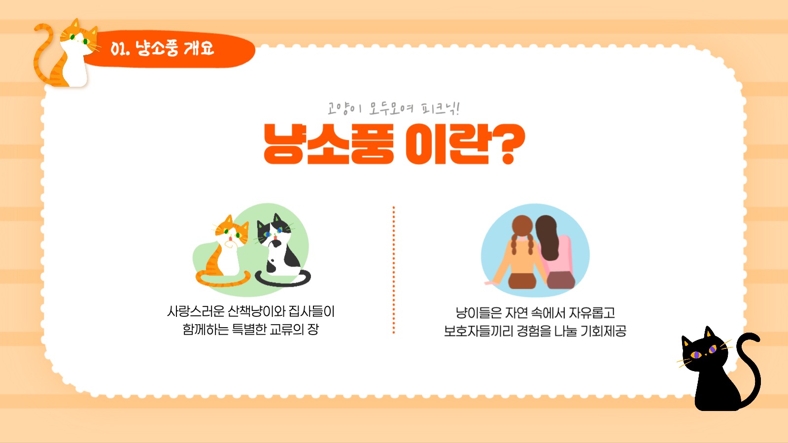 고양이 모두모여 냥소풍!