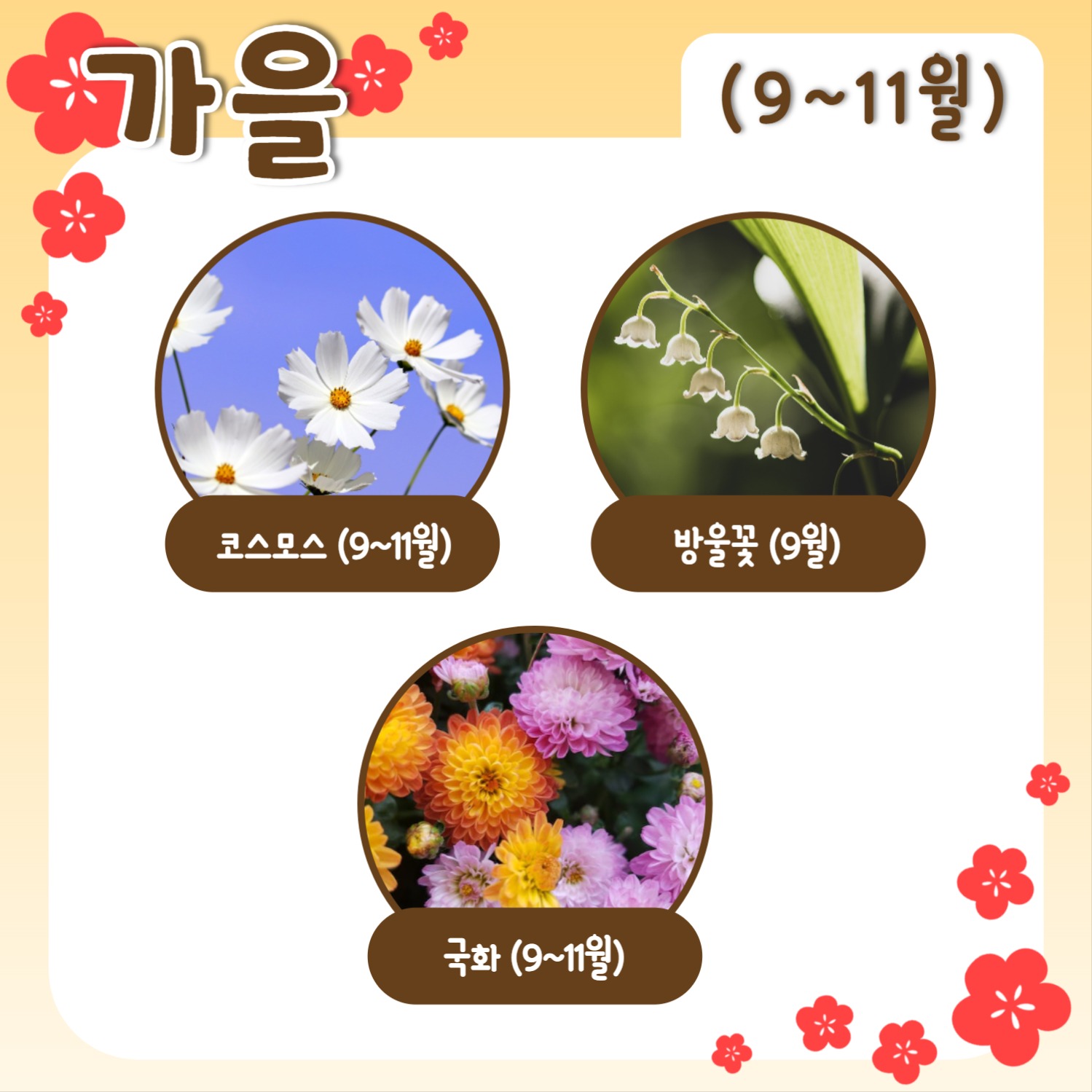 사계절 꽃 모음 템플릿