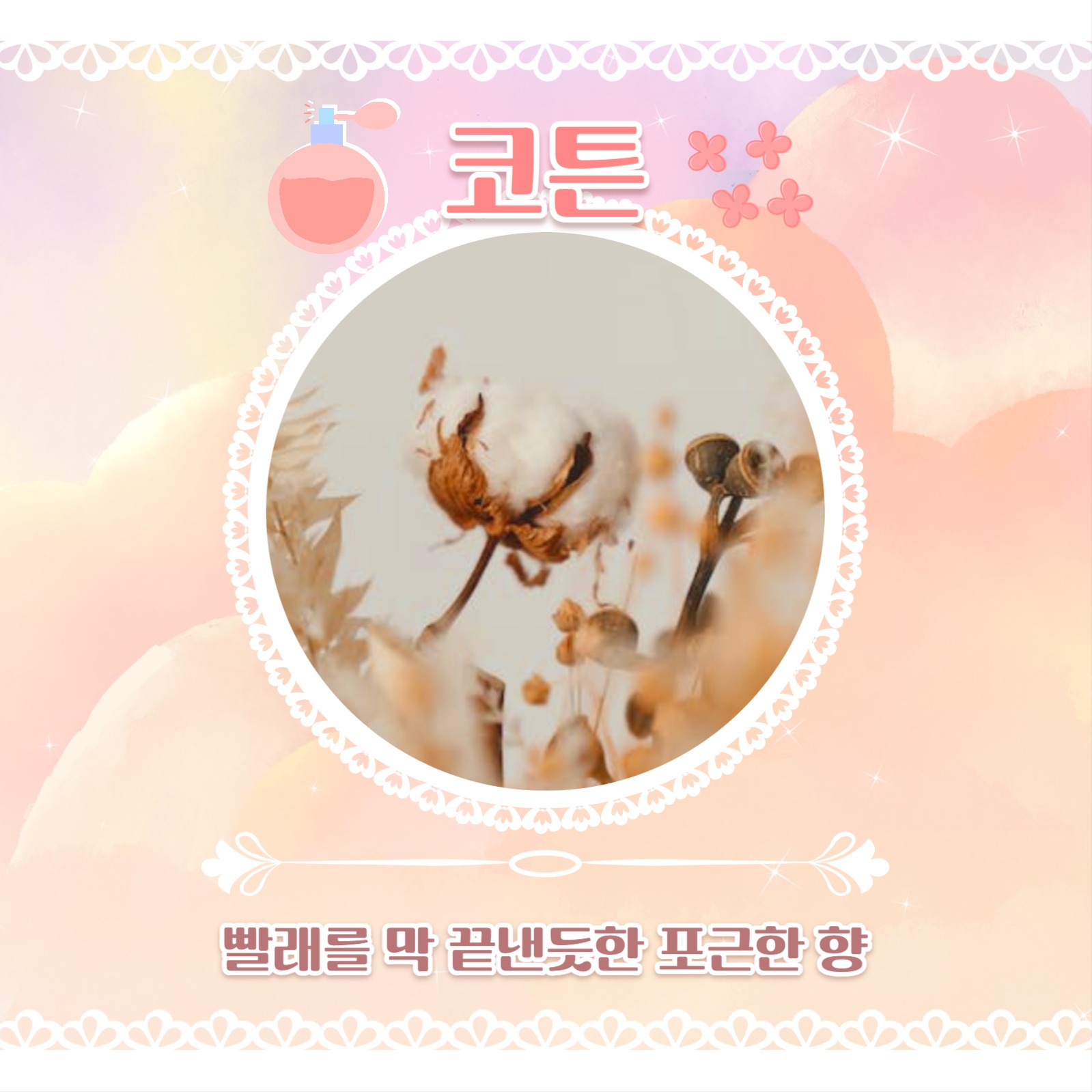 섬유 향수 추천 카드뉴스