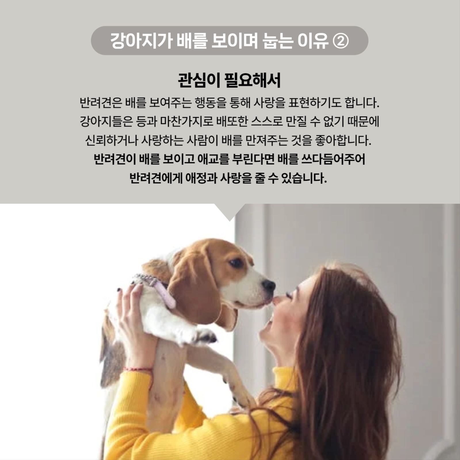 반려동물상식