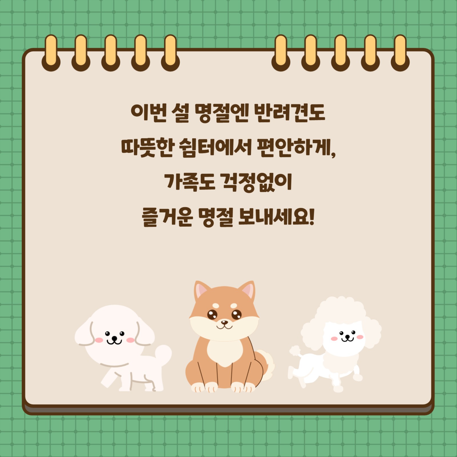설명절 반려견 무료 돌봄 쉼터 운영