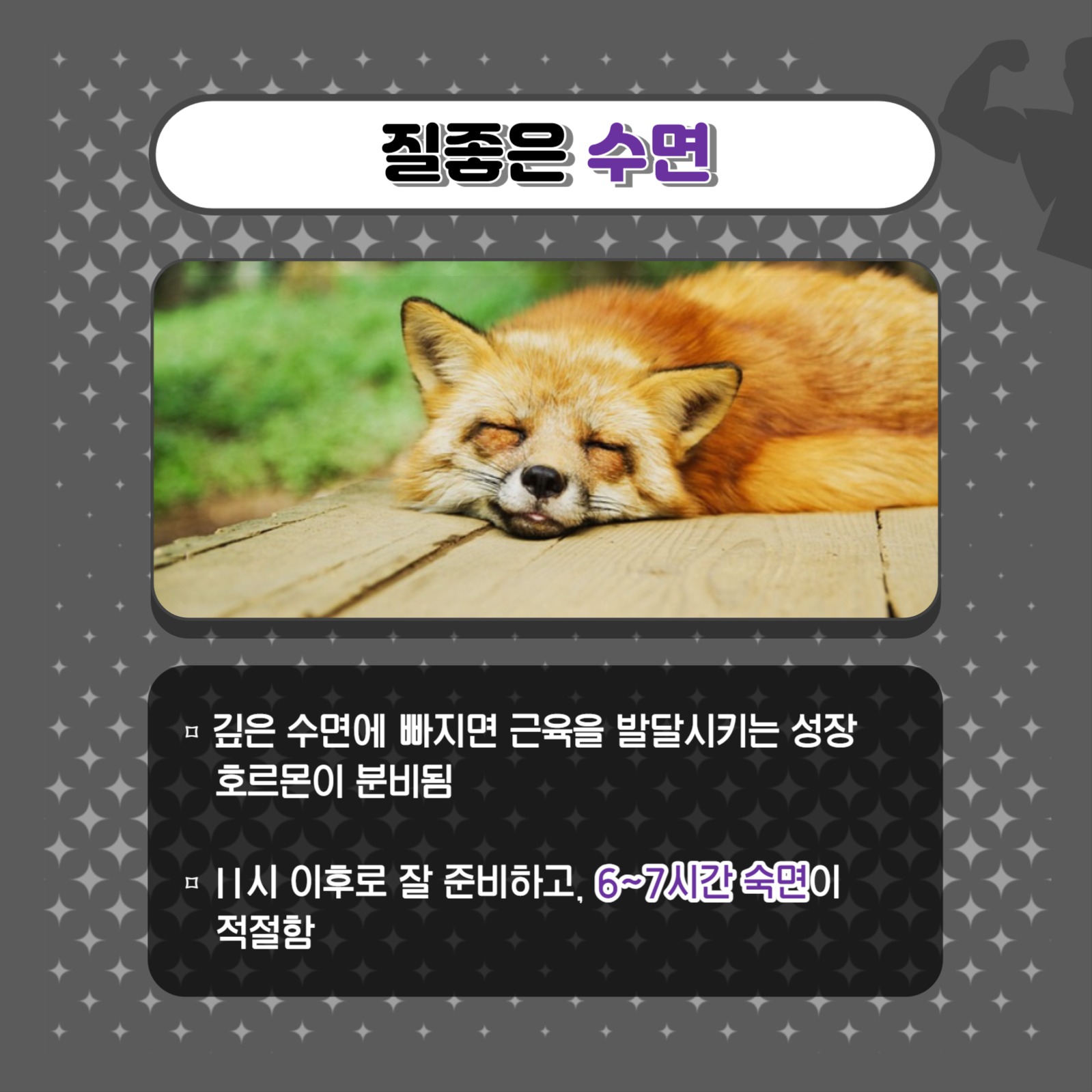 근육량 늘리는 방법 카드뉴스