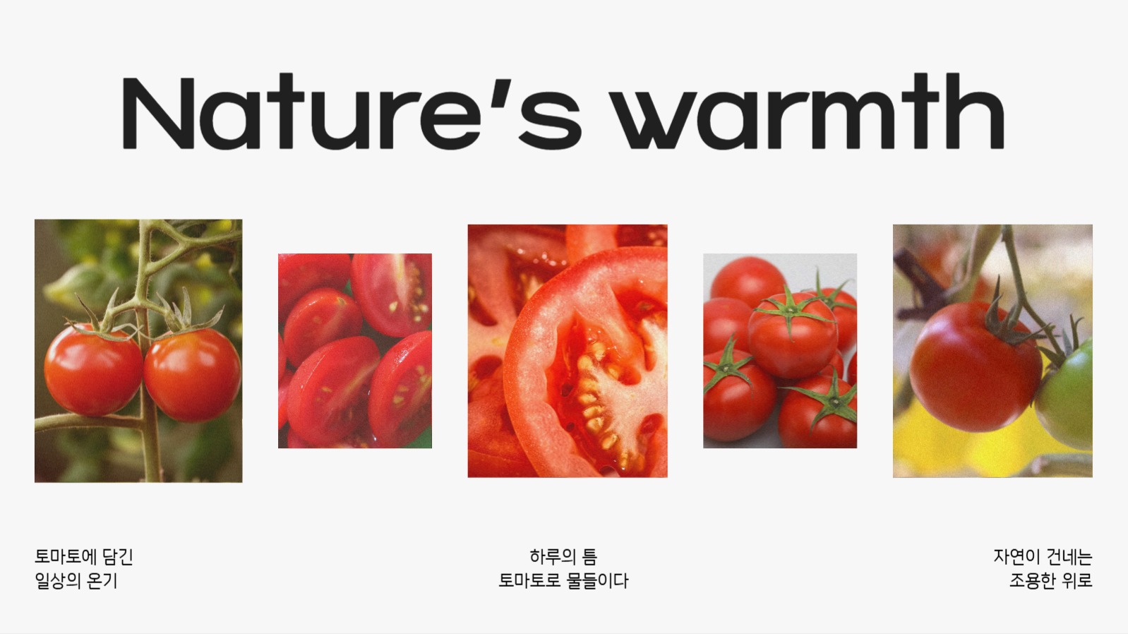 사진을 활용한 감성적인 ppt