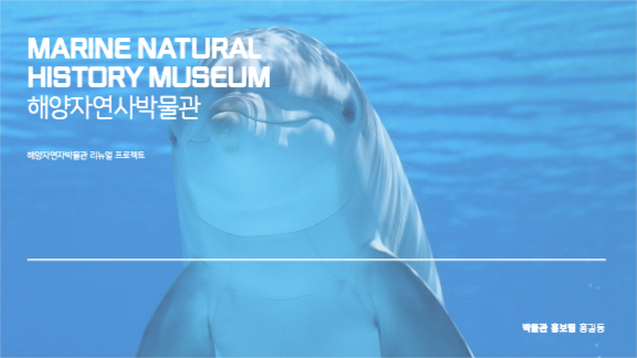 리뉴얼 프로젝트 제안 프레젠테이션