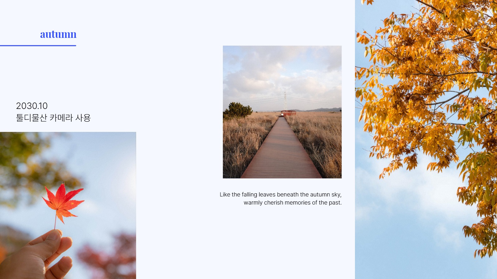 디자이너 포트폴리오