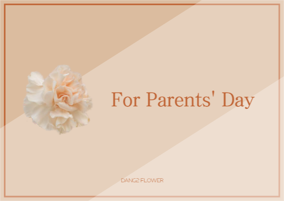 어버이날 카네이션 엽서