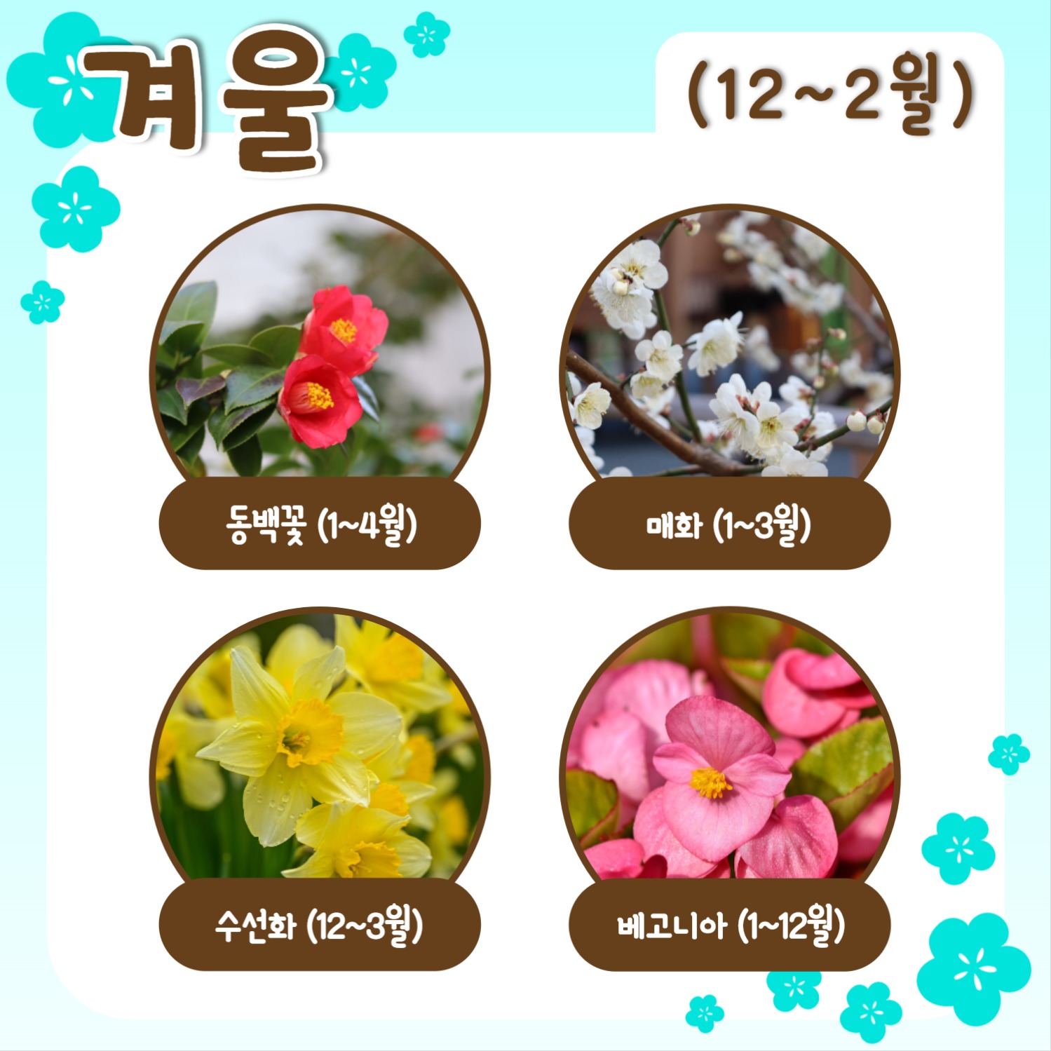 사계절 꽃 모음 템플릿