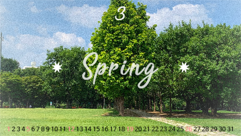 spring✷