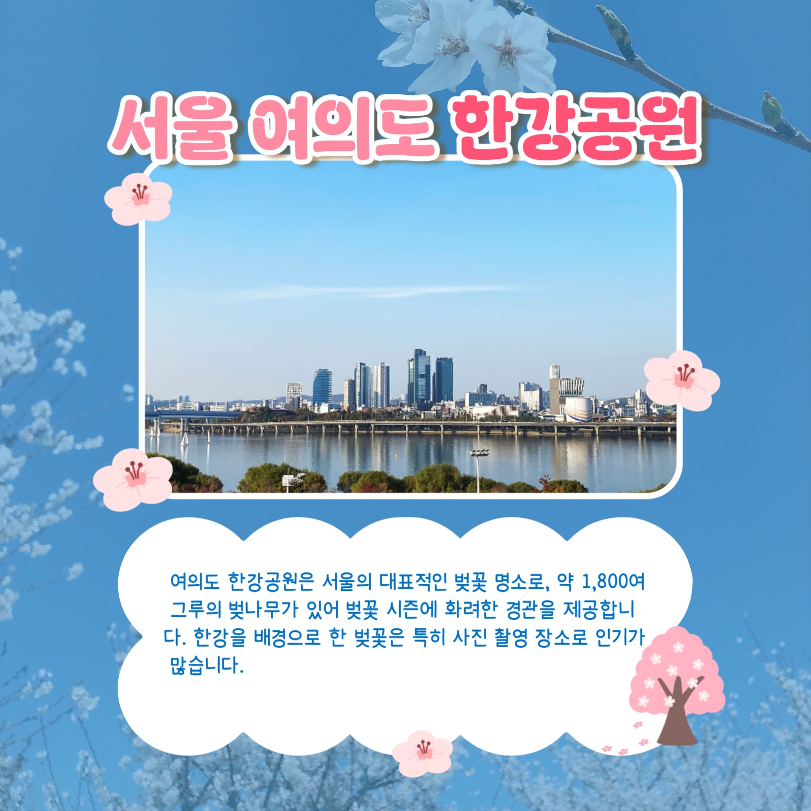 봄맞이 벚꽃 명소 추천 카드뉴스