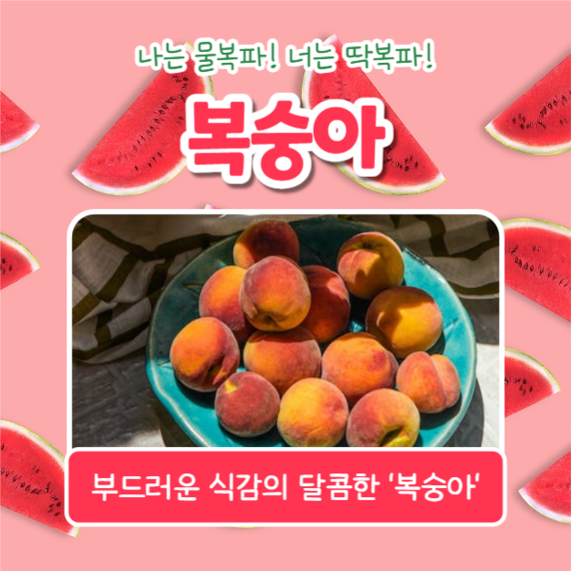 올여름 제철과일 (카드뉴스)