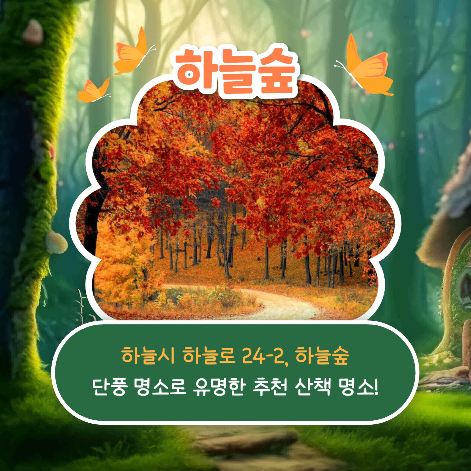 숲 추천 리스트 카드뉴스