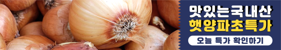 맛있는 국내산 햇양파 초특가 웹 배너