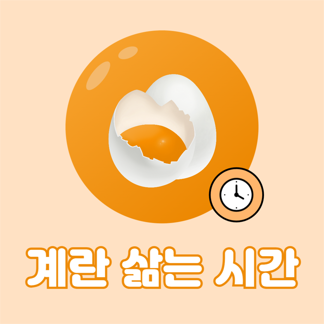 계란 삶는 시간 인스타