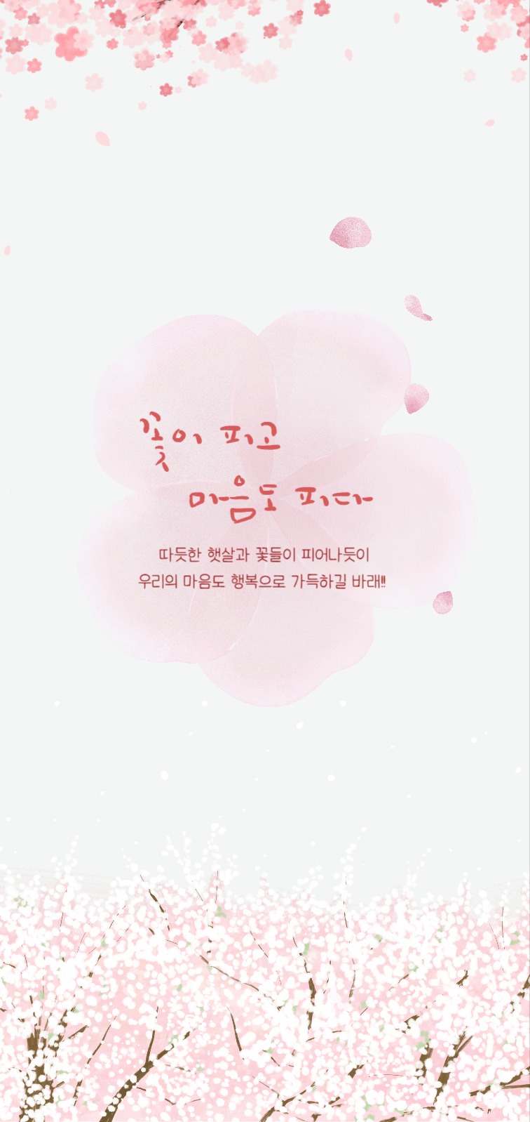 분홍 귀여운 벚꽃 봄 인사말 폰 배경