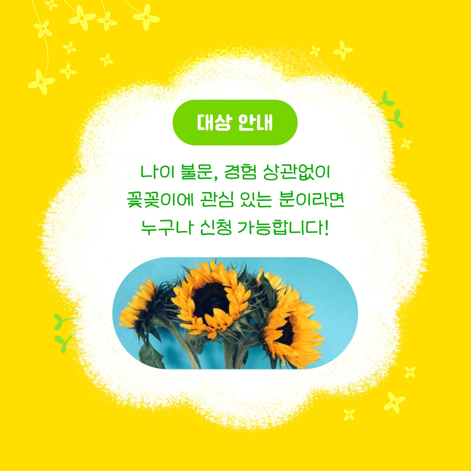 꽃꽂이 수업 수강생 모집 (카드뉴스)