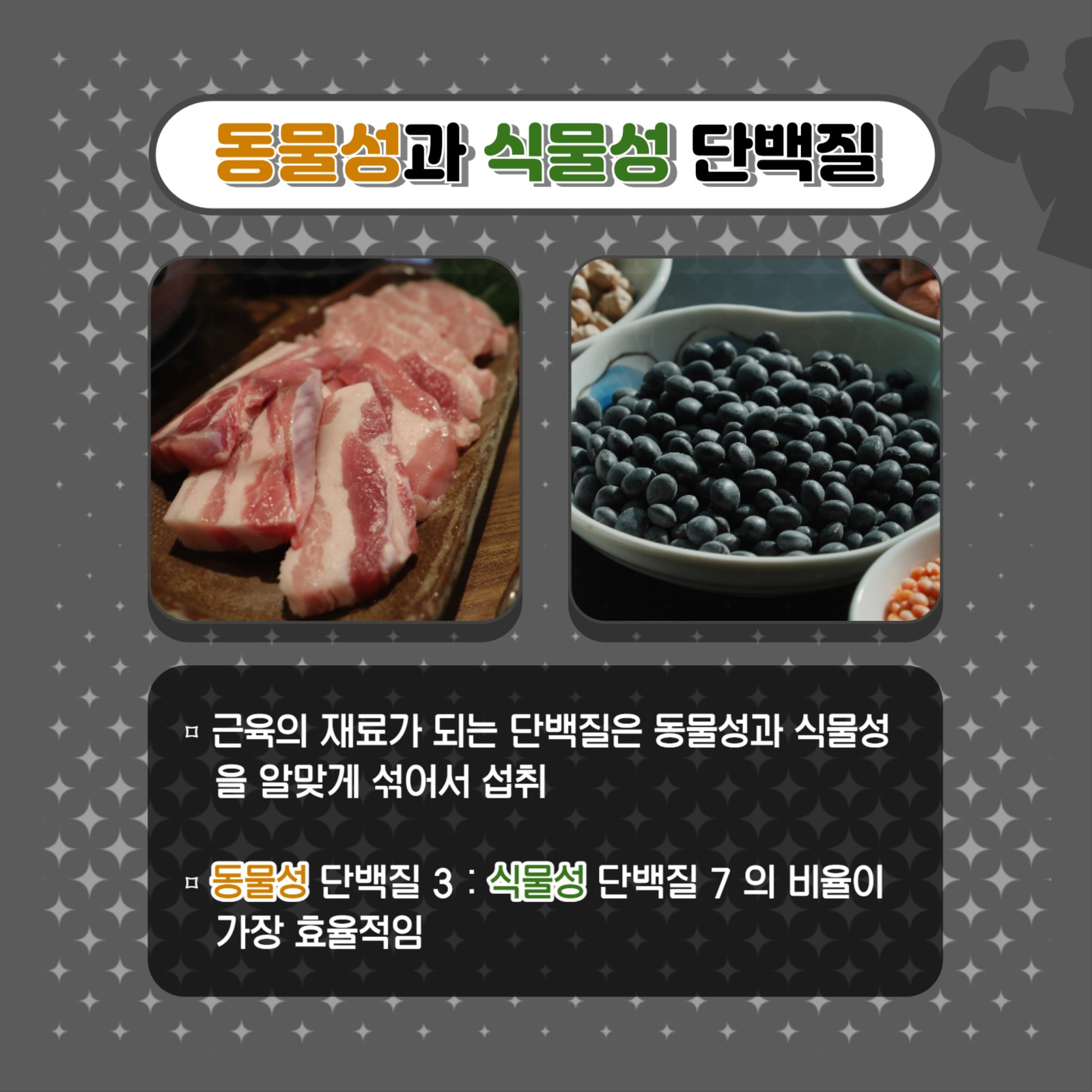 근육량 늘리는 방법 카드뉴스