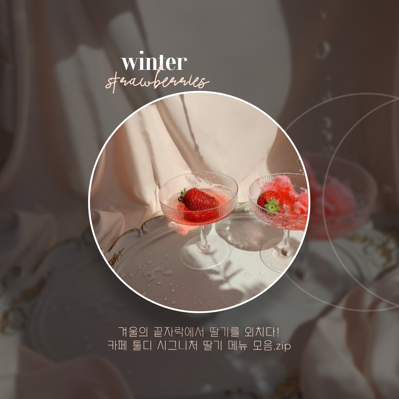 카페 신메뉴 소개 카드뉴스