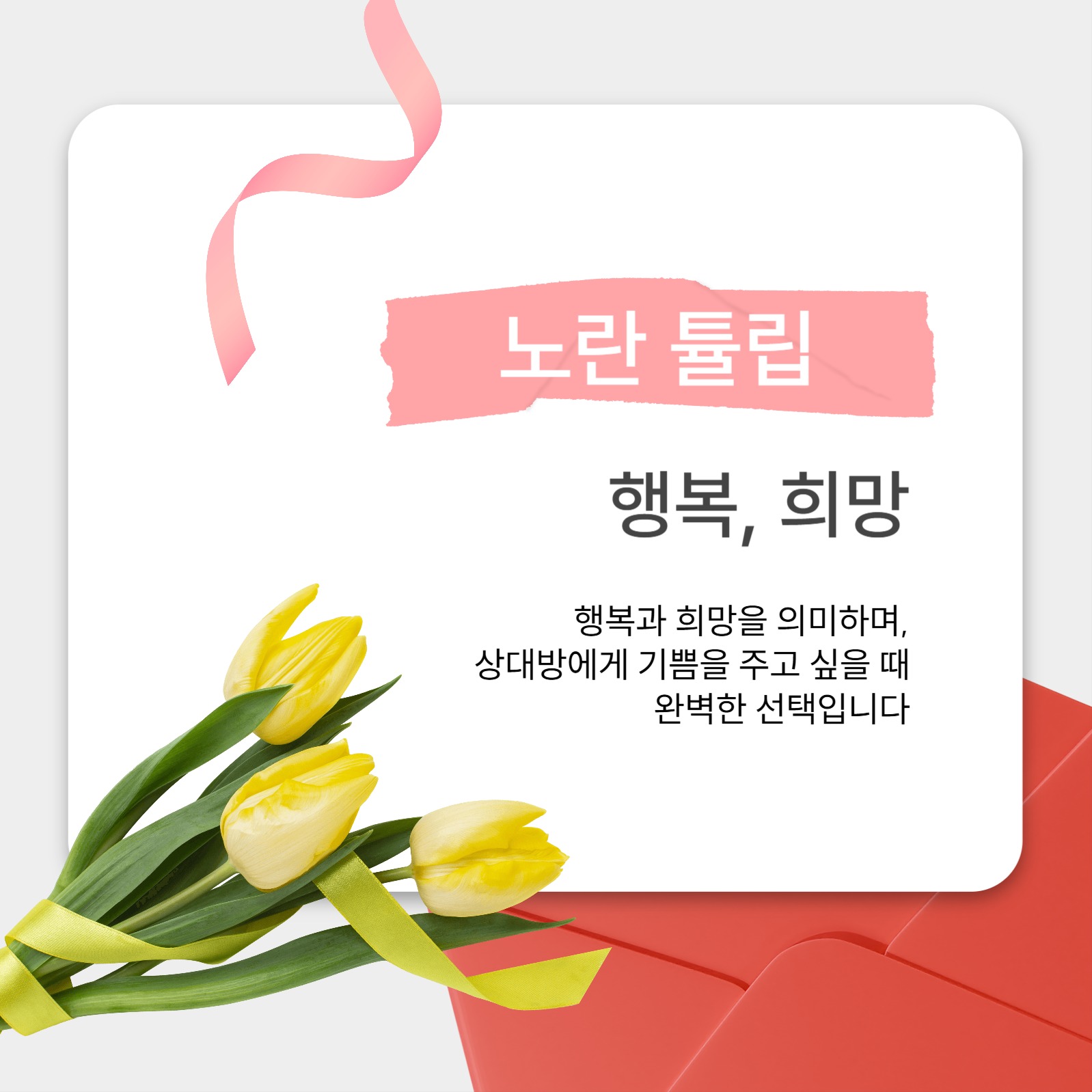 가정의 달 선물 꽃 추천 카드뉴스