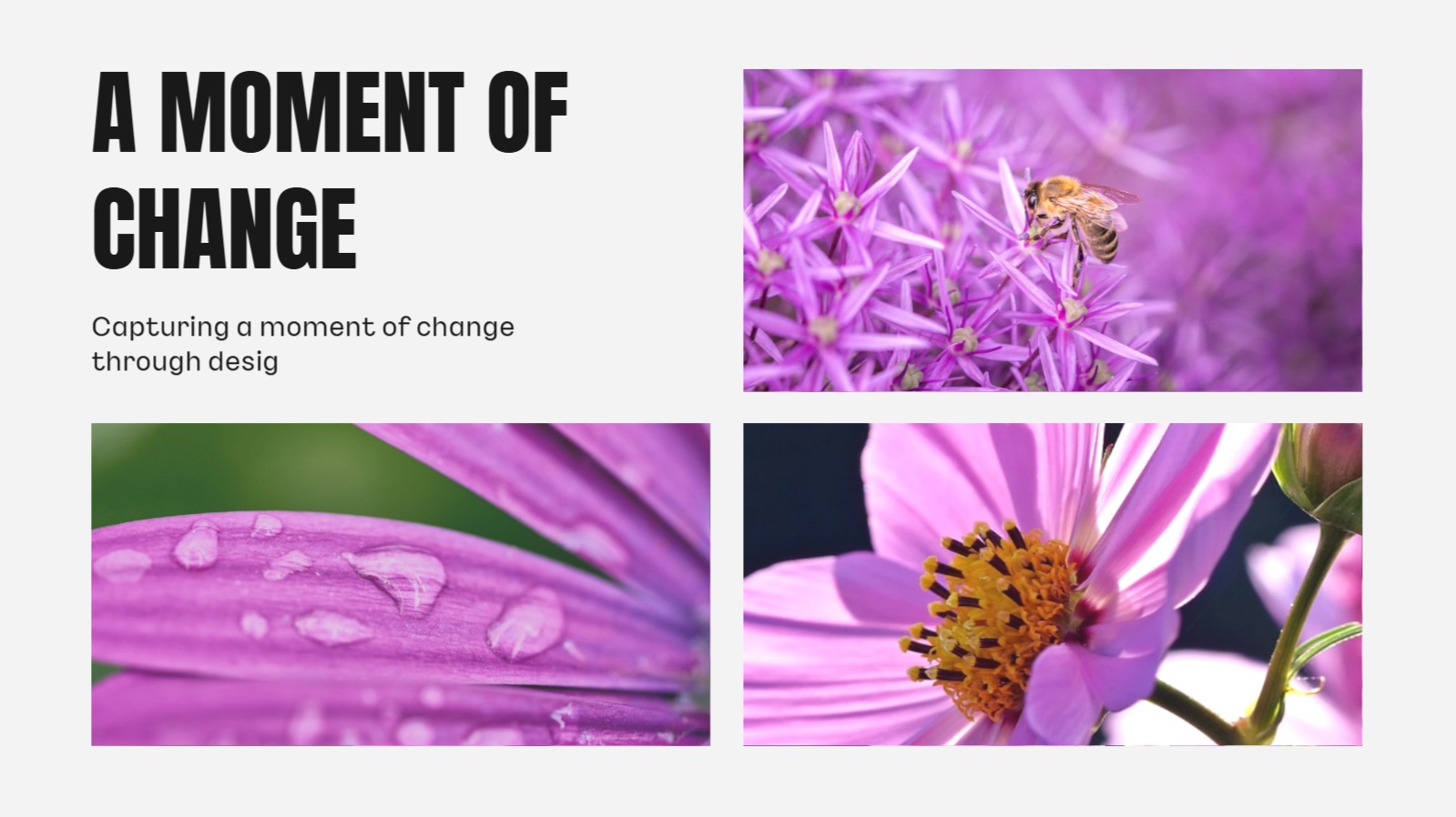 감성적인 포트폴리오