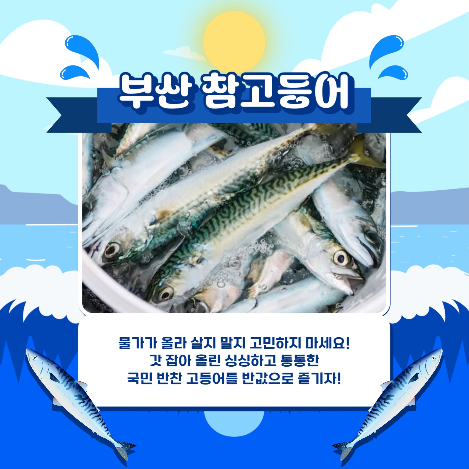 수산물 대잔치 카드뉴스