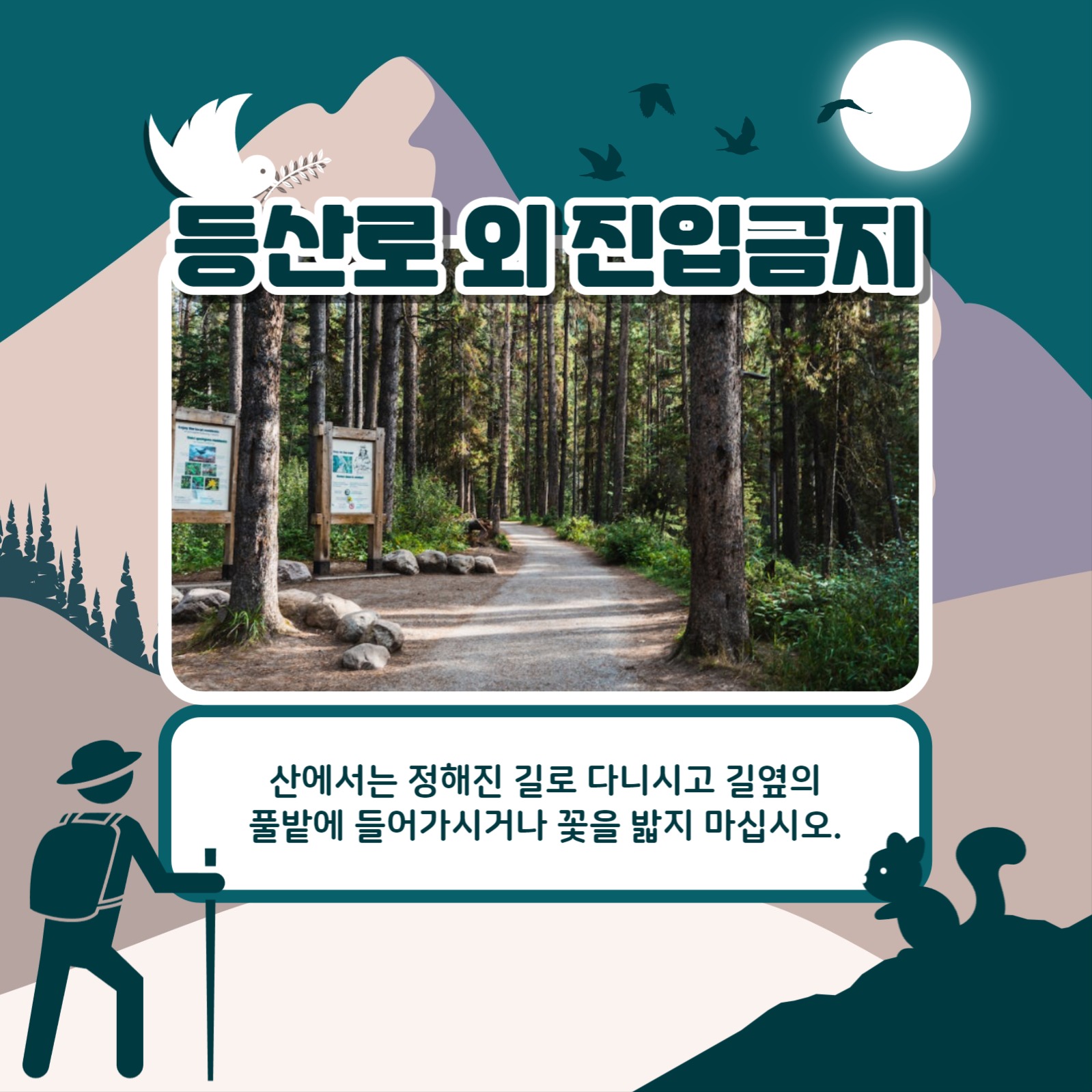 등산 시 주의사항 카드뉴스