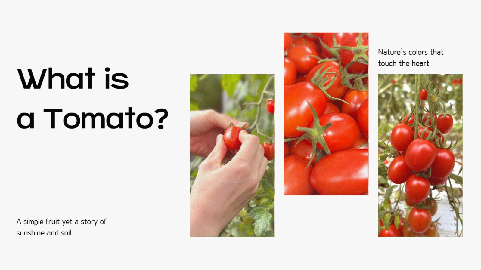 사진을 활용한 감성적인 ppt