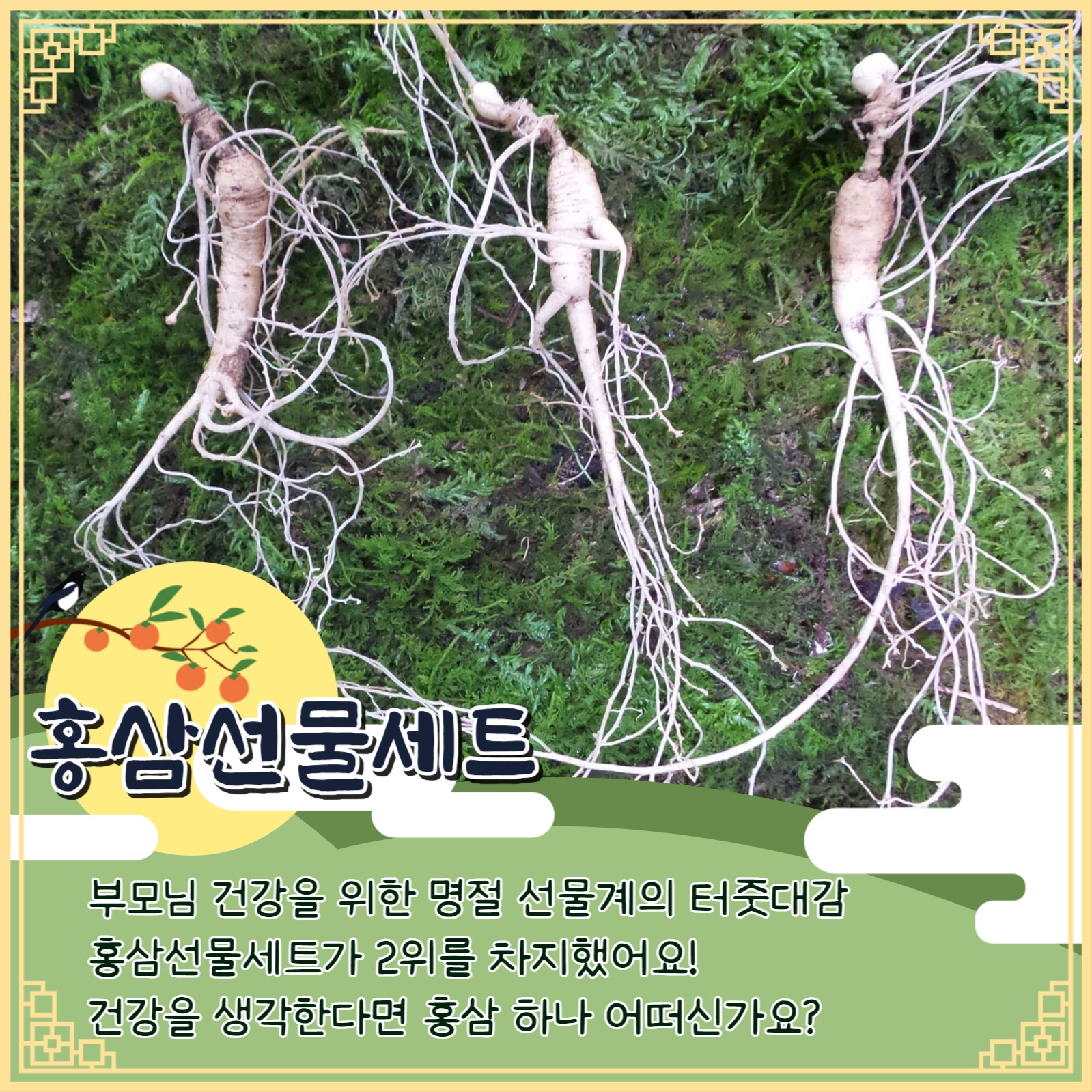 추석선물 인기순위 카드뉴스