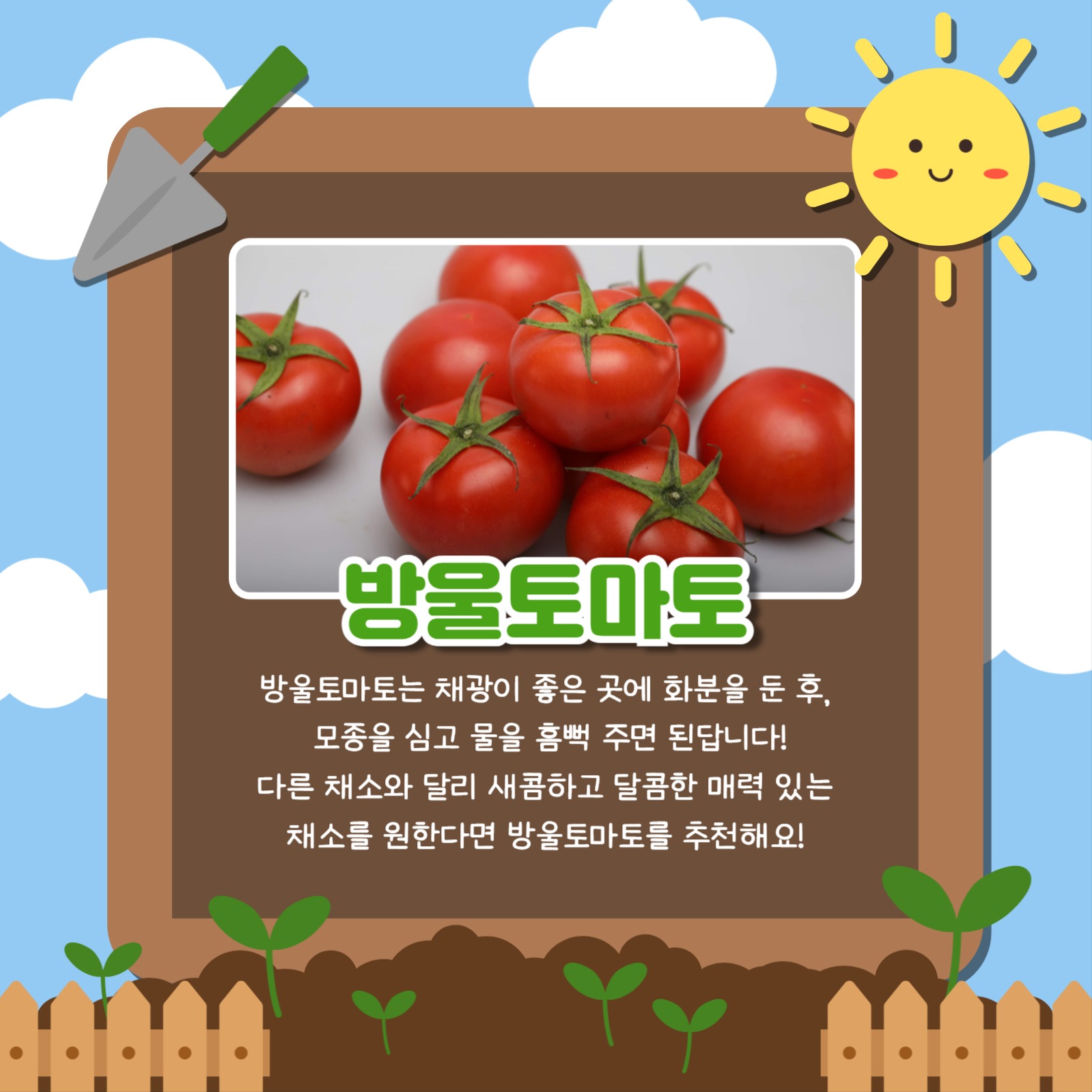 키우기 좋은 채소 카드뉴스