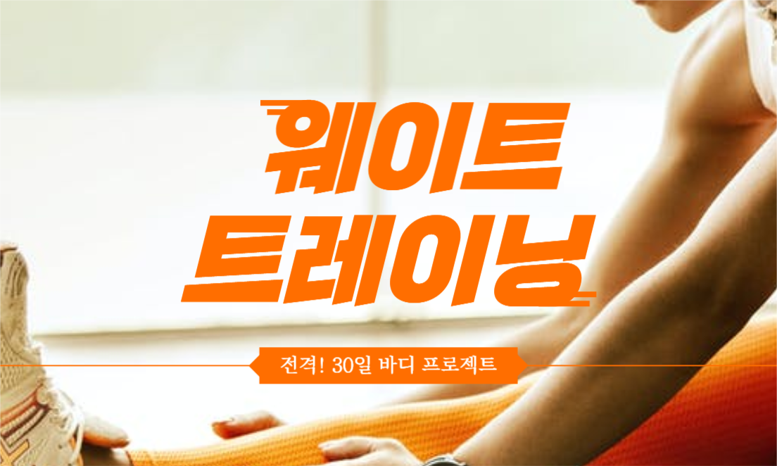 전격! 웨이트 트레이닝