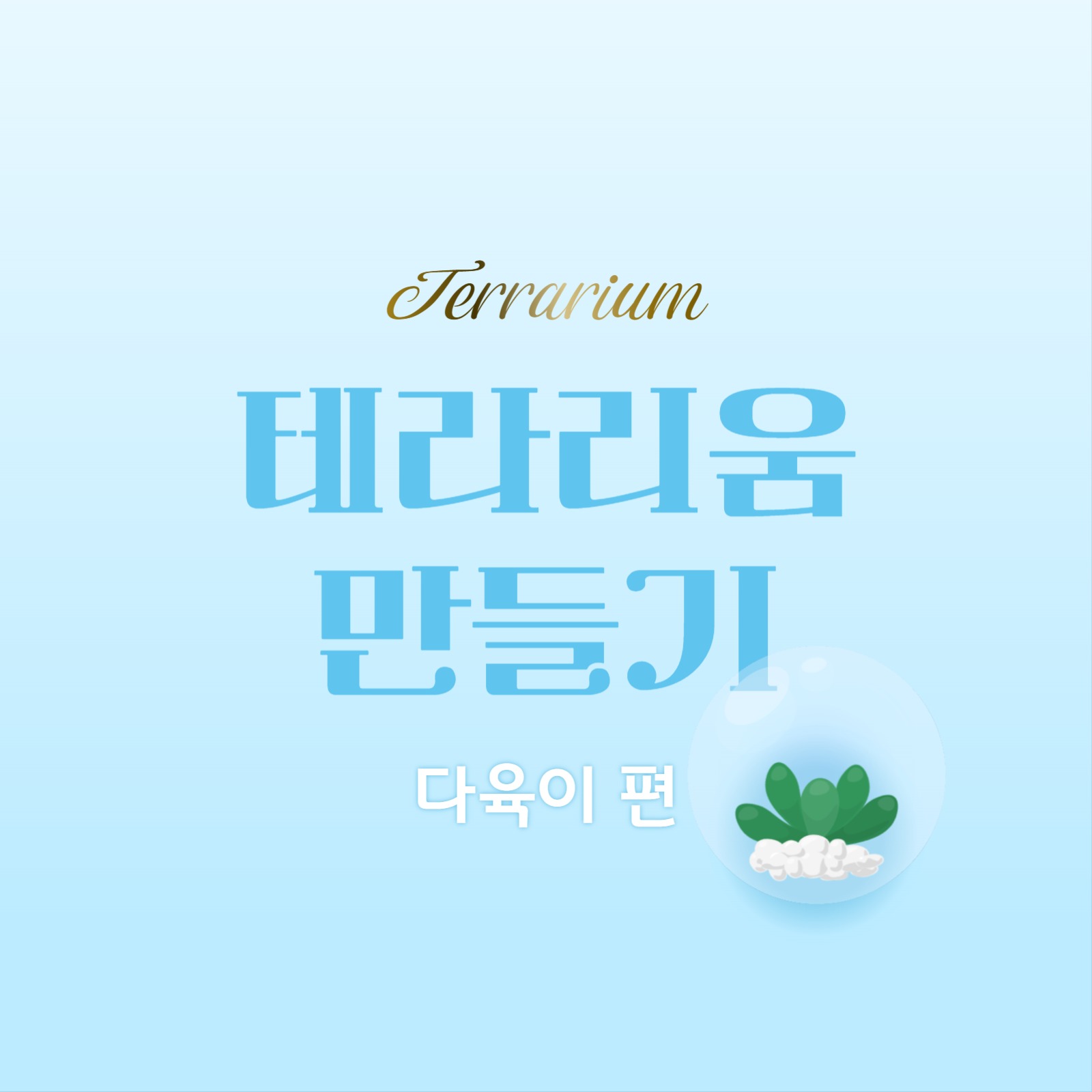 테라리움 만들기 카드뉴스