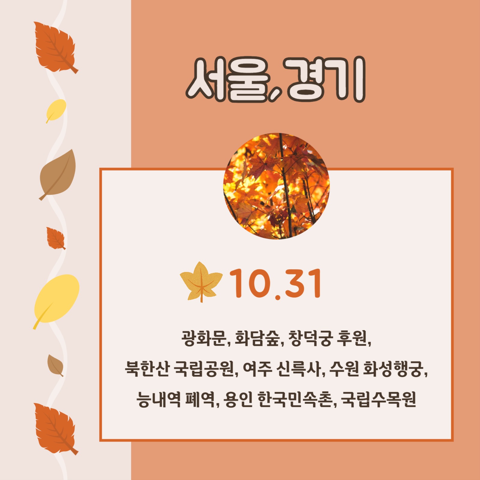 단풍 명소와 절정기 카드뉴스