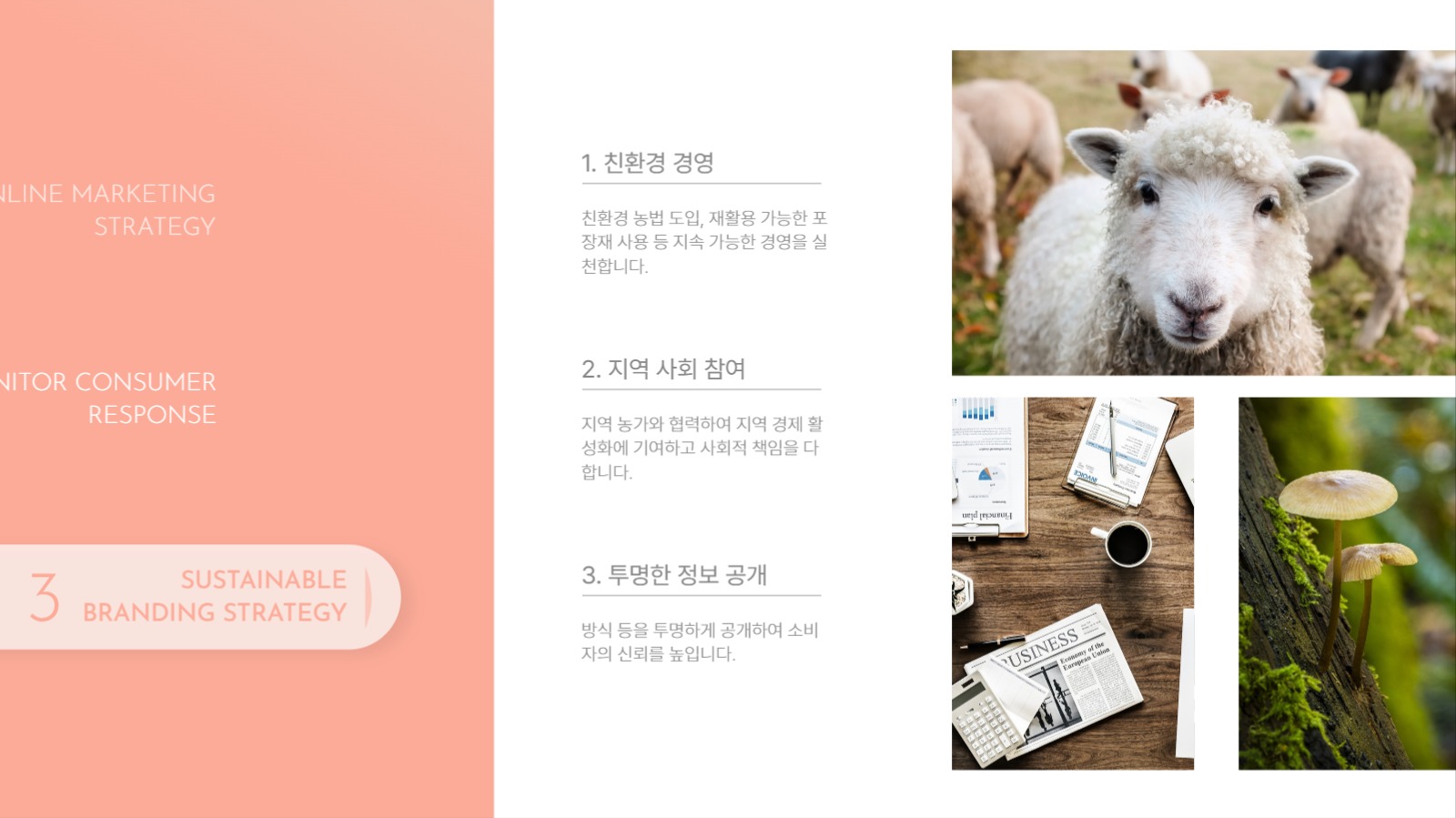 친황경 뷰티 마케팅 전략 