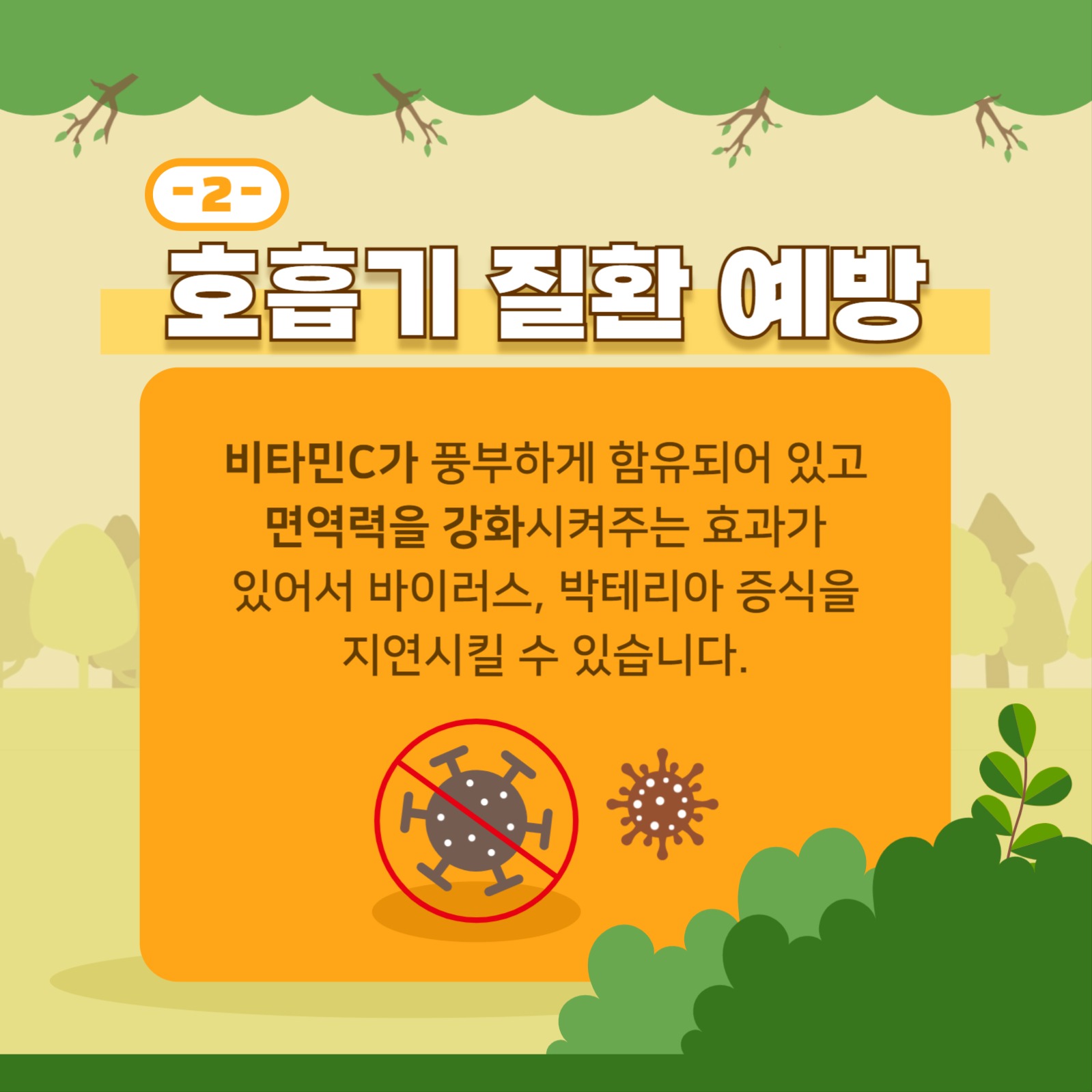 오렌지 껍질의 효능