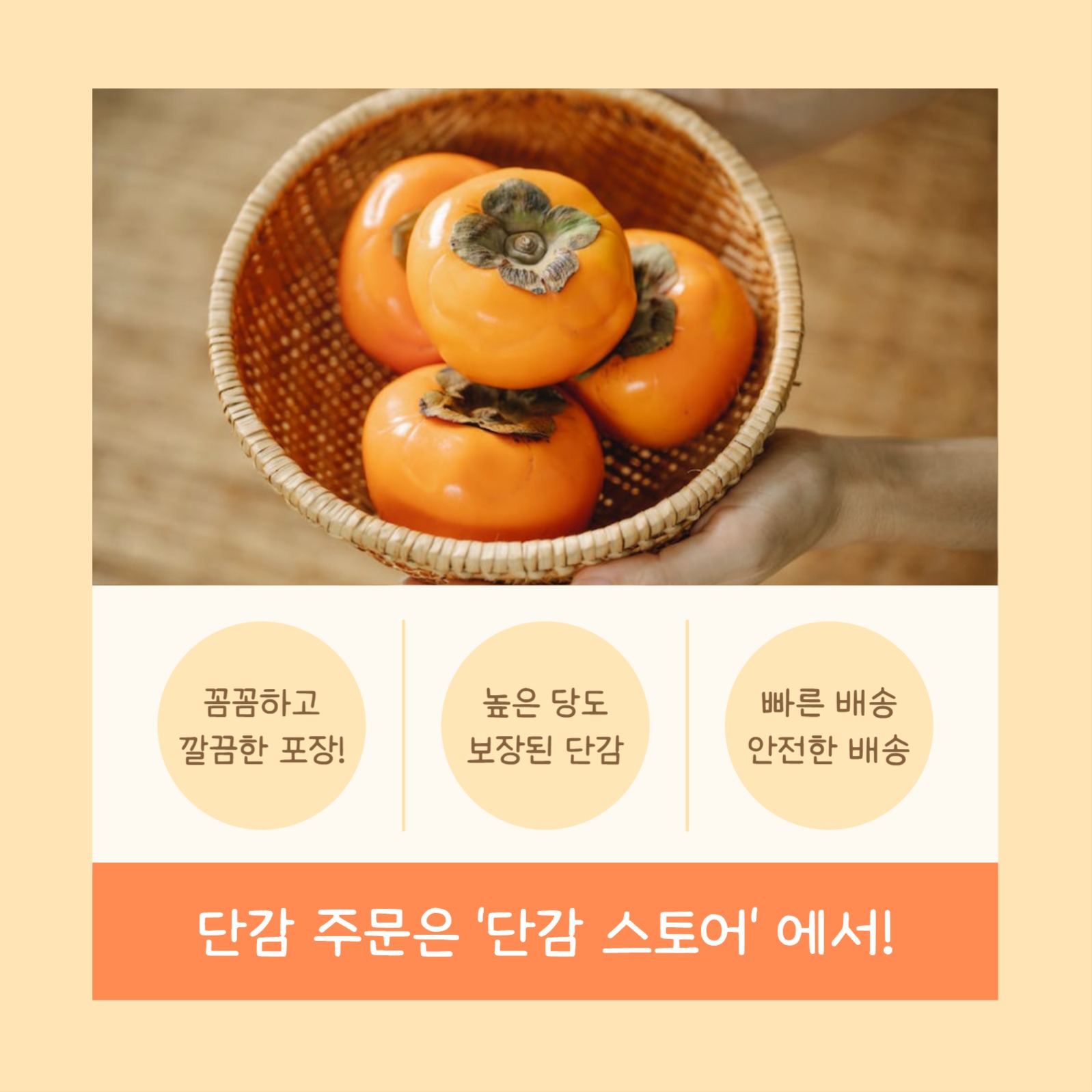 가을 고당도 단감 (카드뉴스)