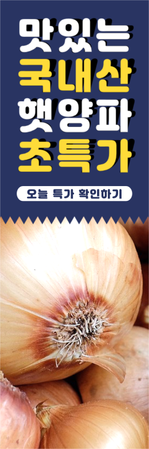 맛있는 국내산 햇양파 초특가 웹 배너
