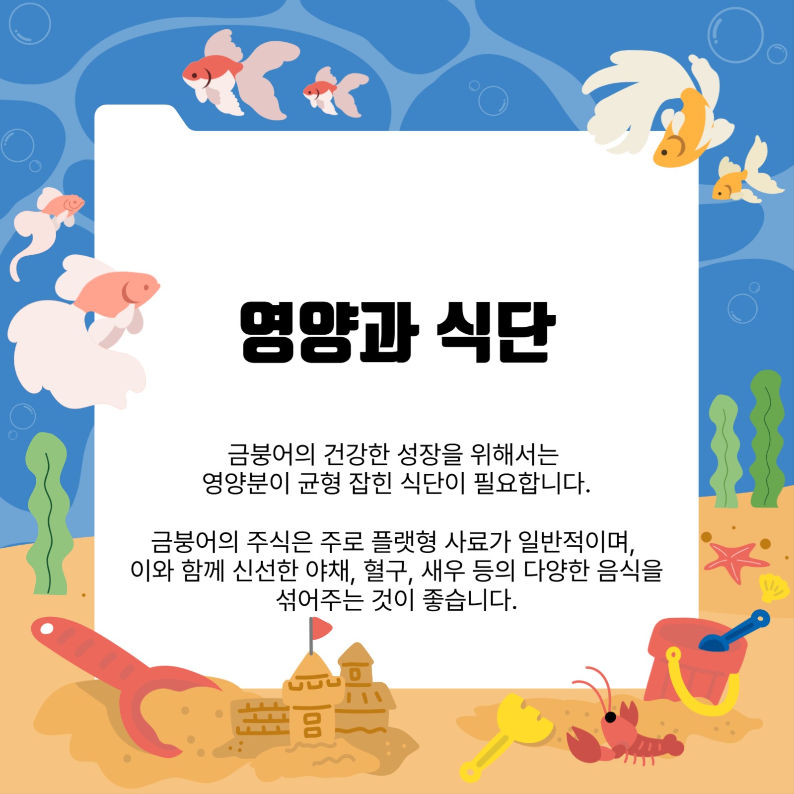 금붕어 키우기 