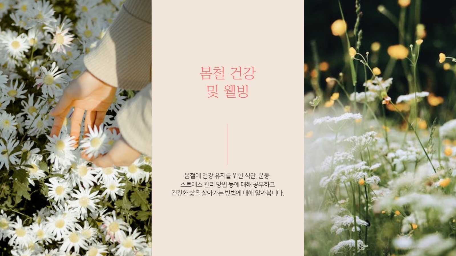 심플한 봄 사진 프레젠테이션