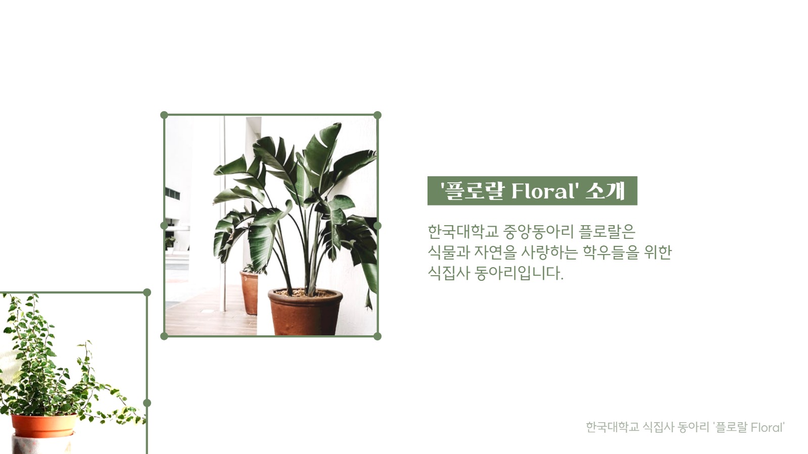 동아리 소개서 프레젠테이션