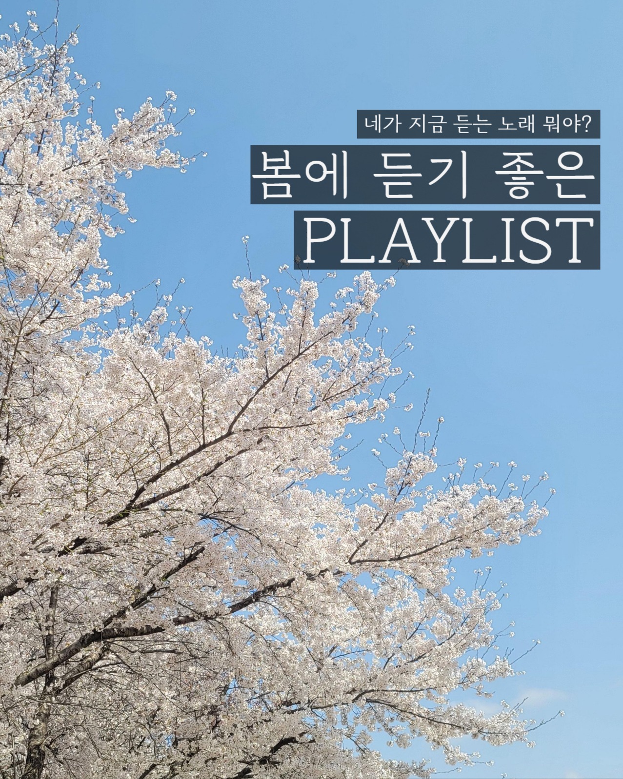 봄에 듣기 좋은 플레이리스트