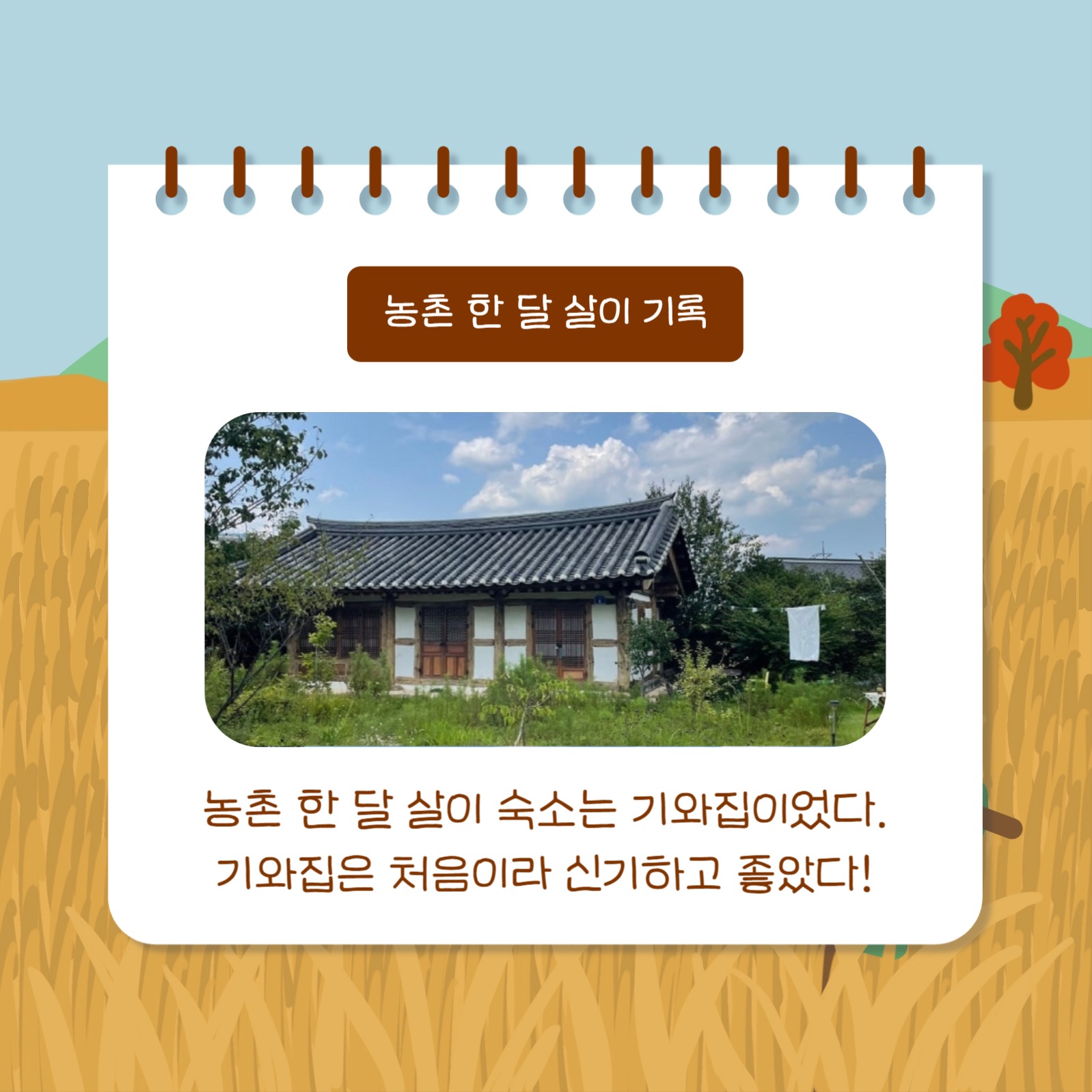 농촌살이 돌아보기 (카드뉴스)