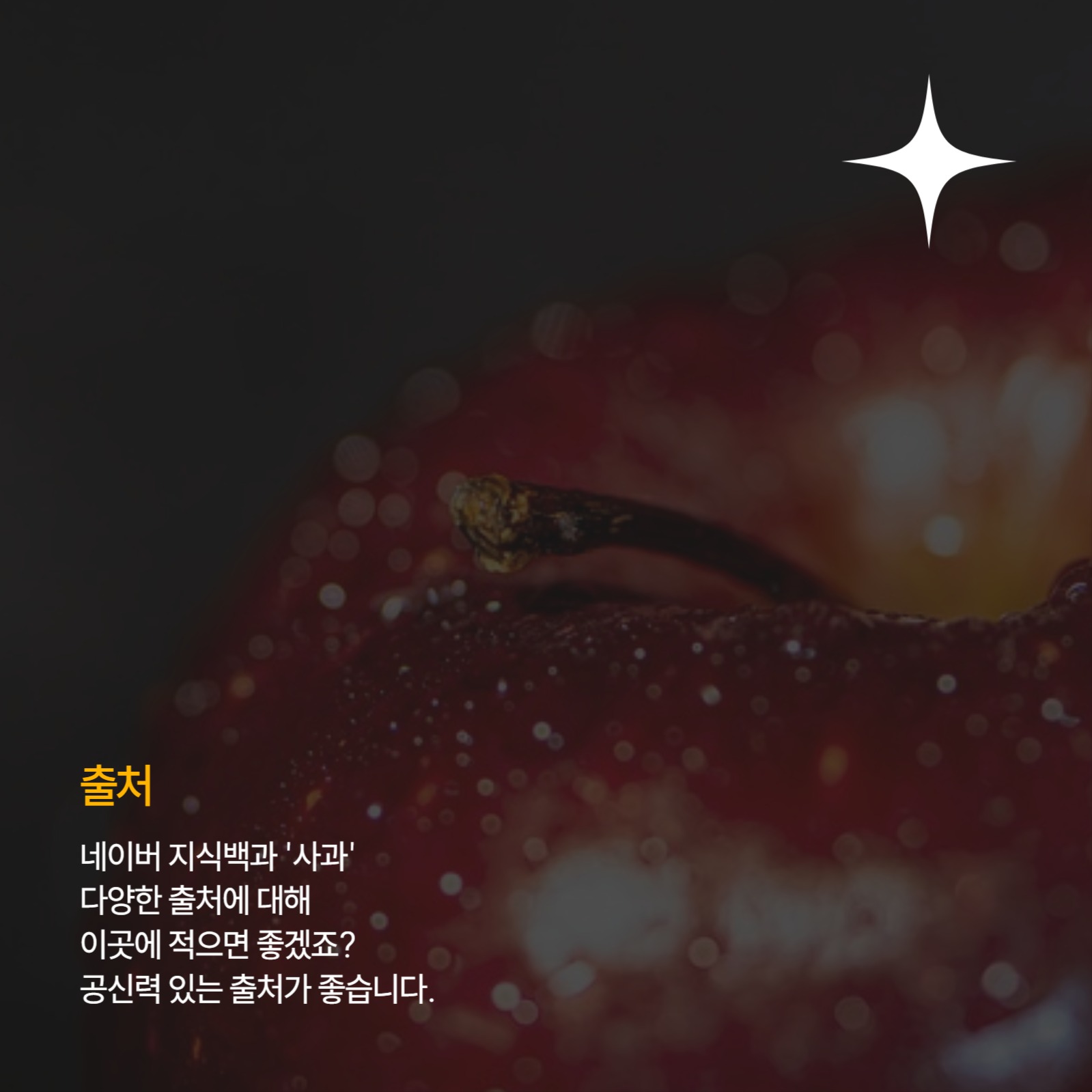 정보전달용 카드뉴스