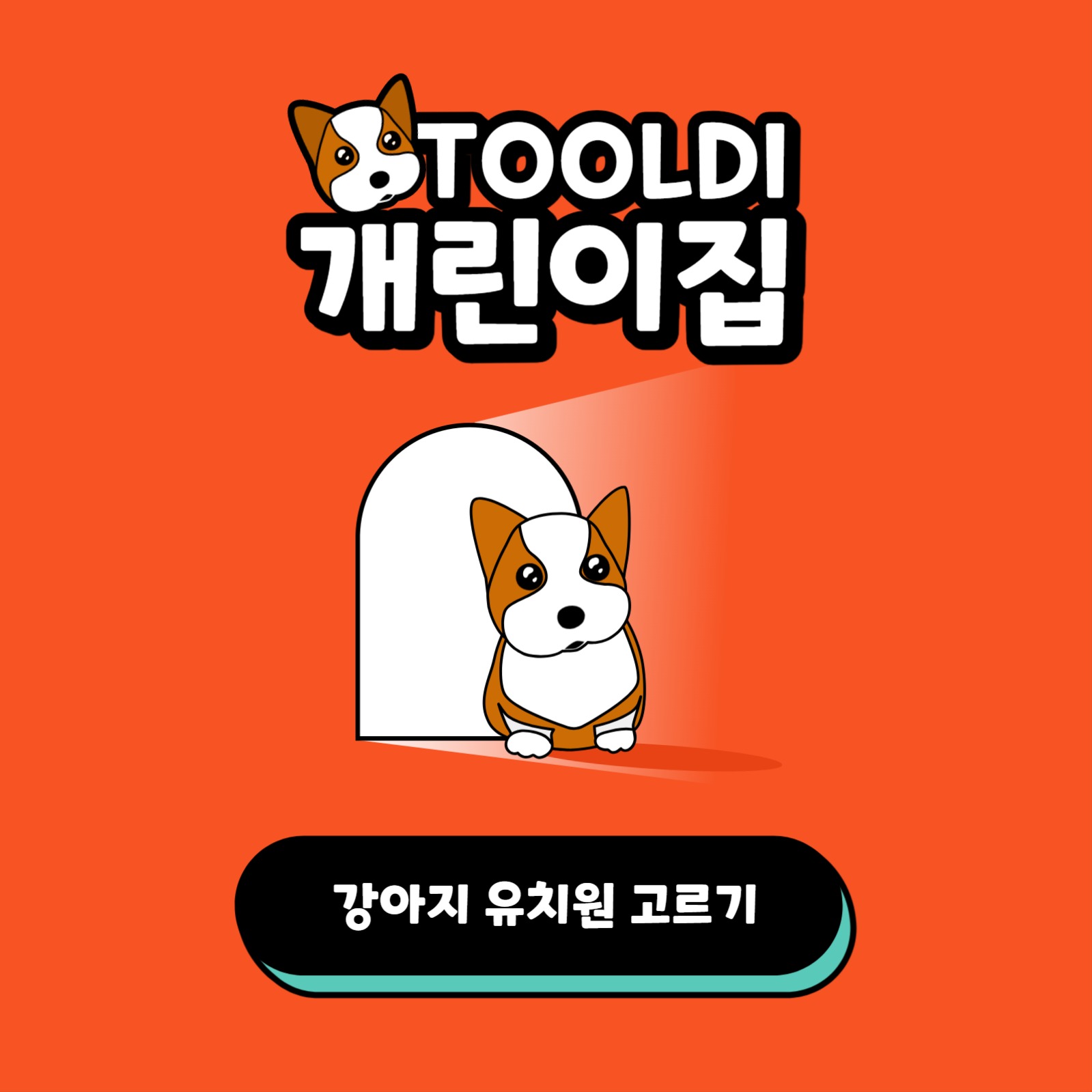 툴디 개린이집 카드뉴스