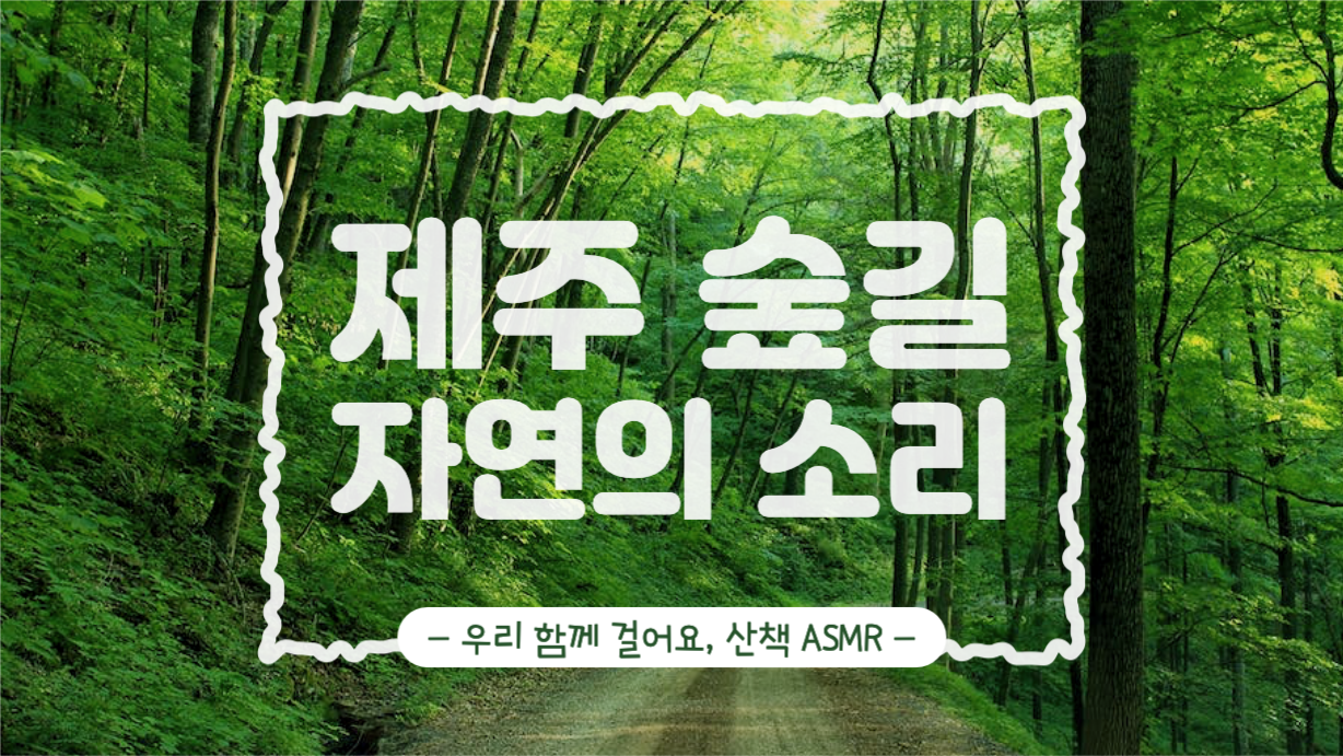 제주 숲길 자연의 소리 산책 ASMR